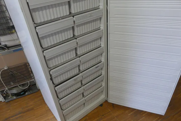 Thumbnail Bild'