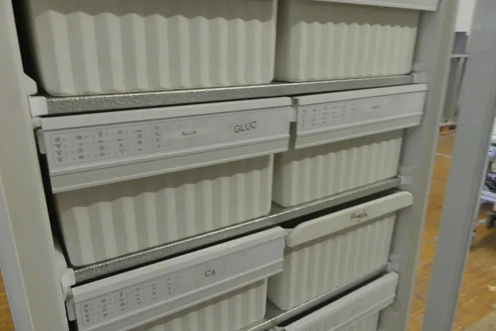 Bild