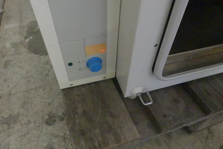 Bild