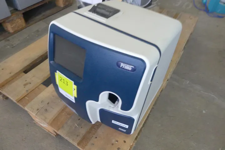 Bild