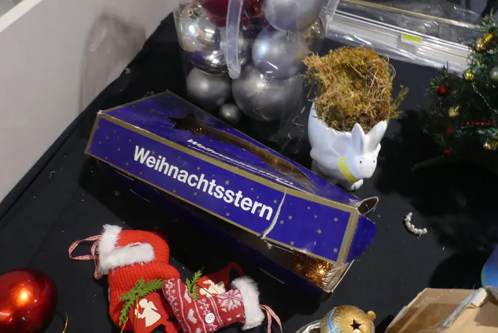 Bild