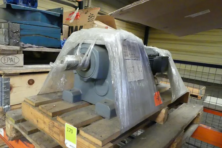 Bild