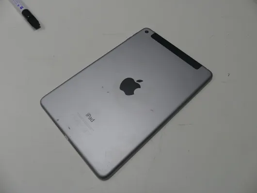 Apple - iPad mini 4 - 32 GB