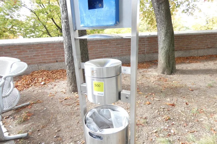 Bild