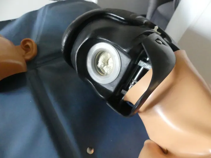 Bild