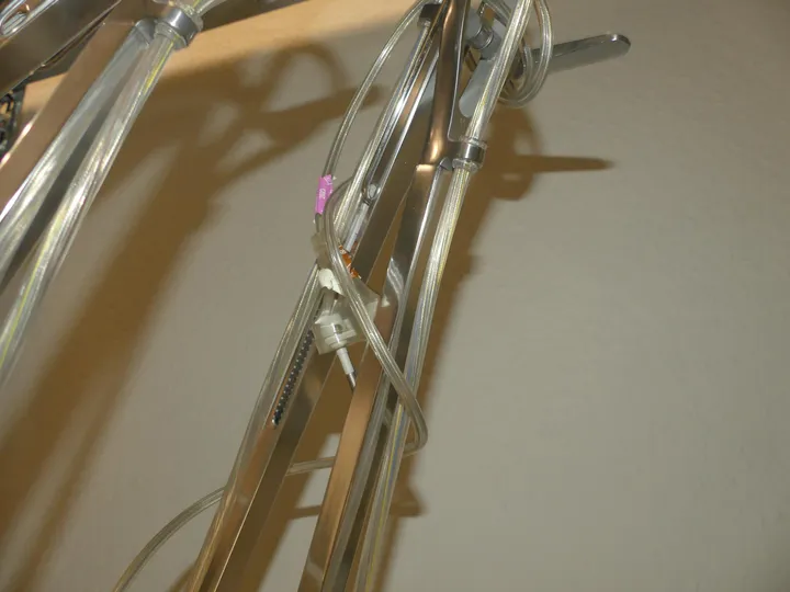 Bild