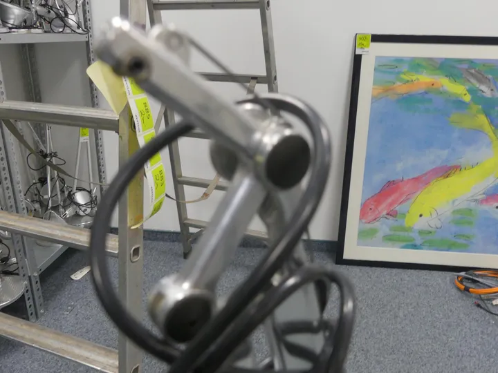 Bild