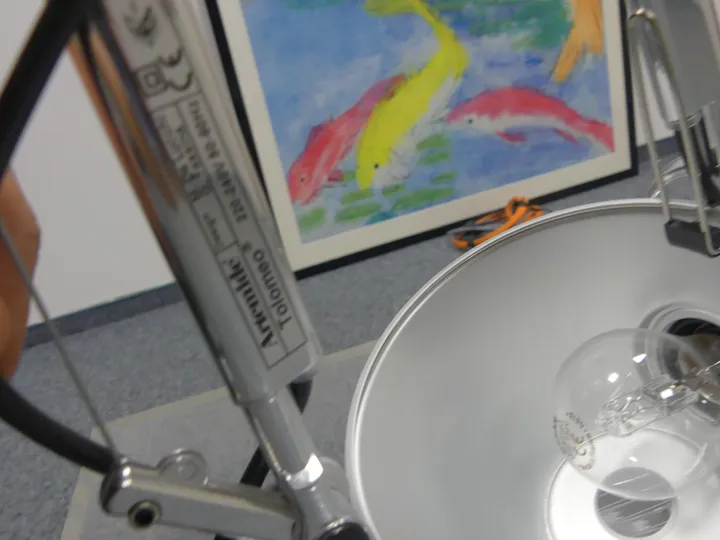 Bild