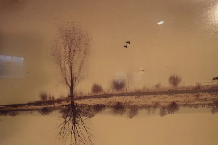 Bild