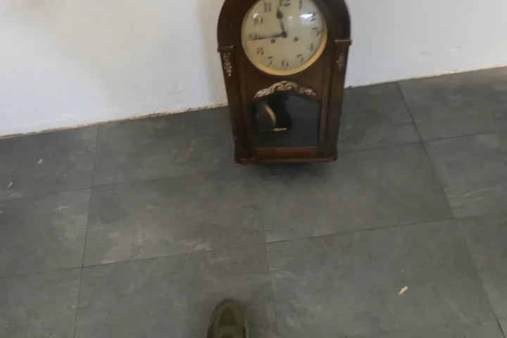 Bild