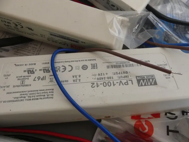 Bild