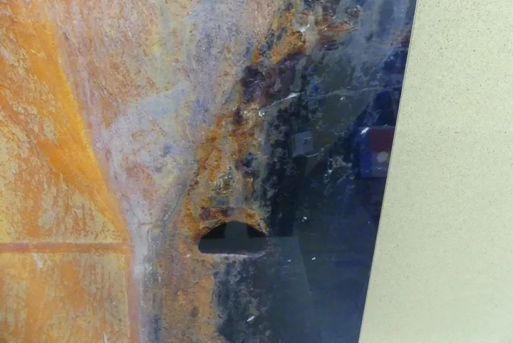 Bild