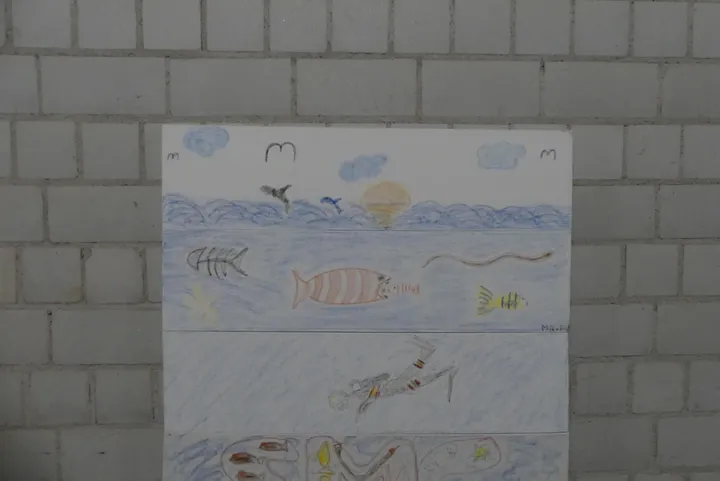 Bild