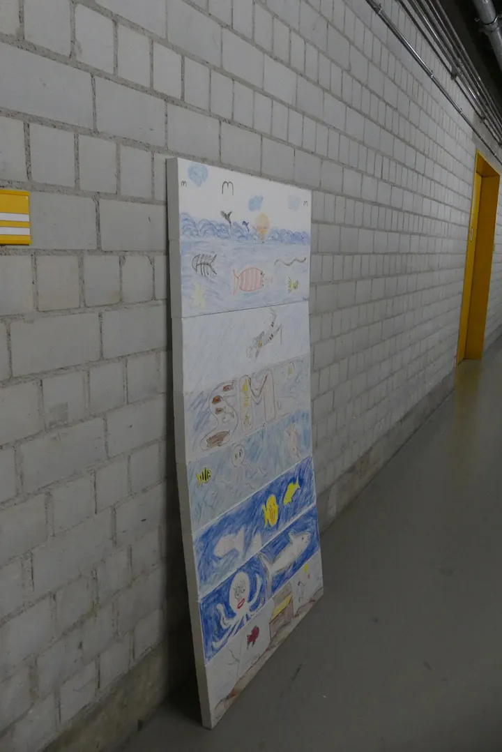Bild