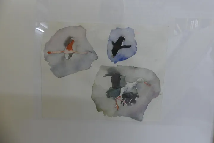 Bild