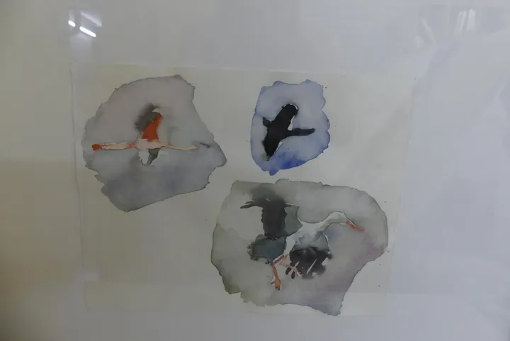 Bild