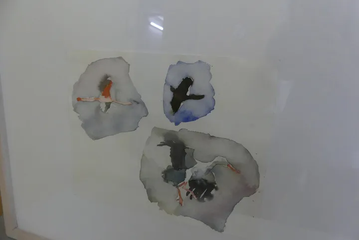 Bild
