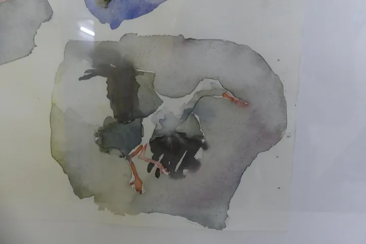 Bild