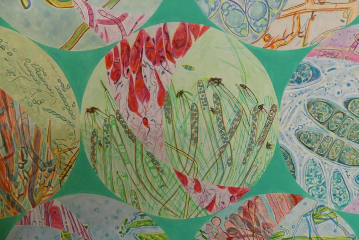 Bild