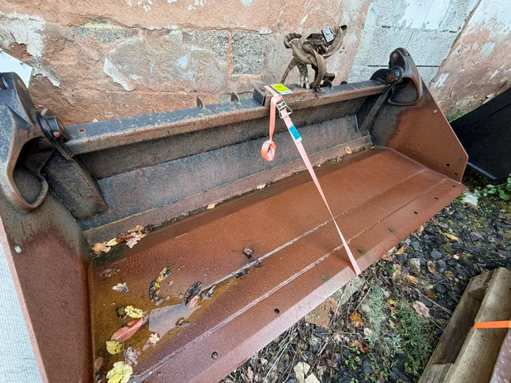 Bild