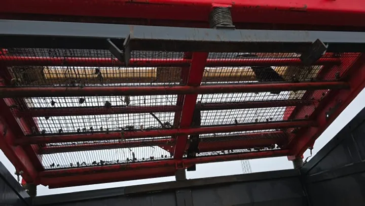 Bild
