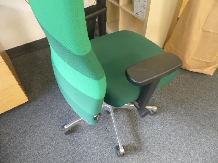 Bild