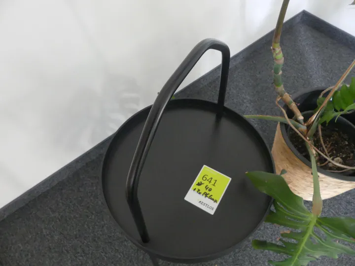 Bild