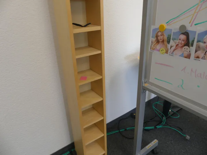 Bild