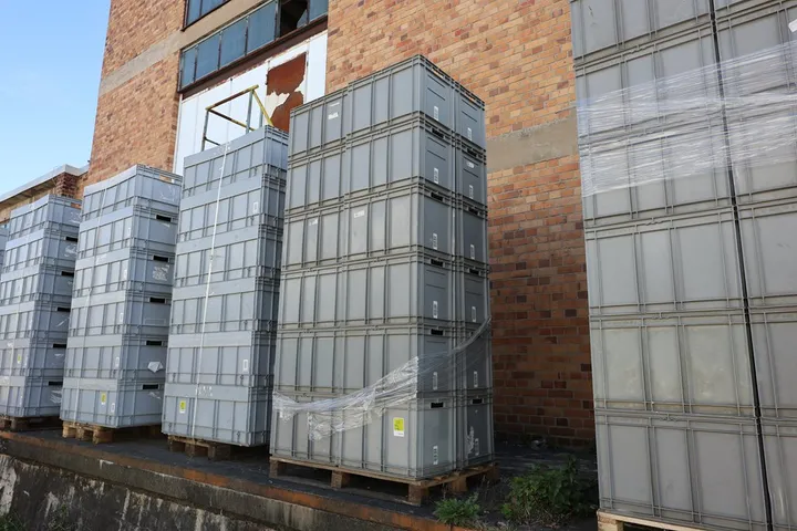 Bild