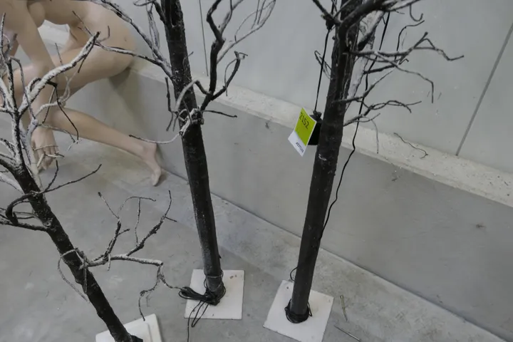 Bild
