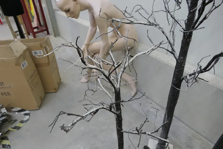 Bild