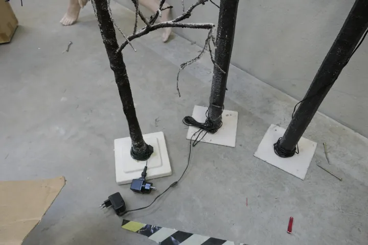 Bild