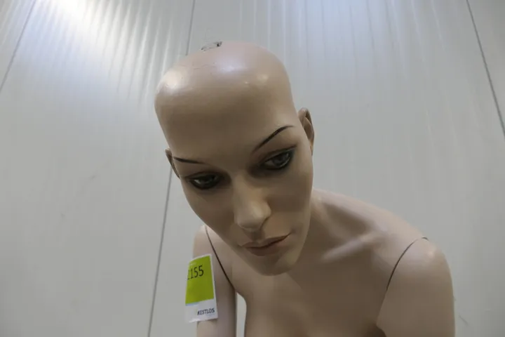 Thumbnail Bild'