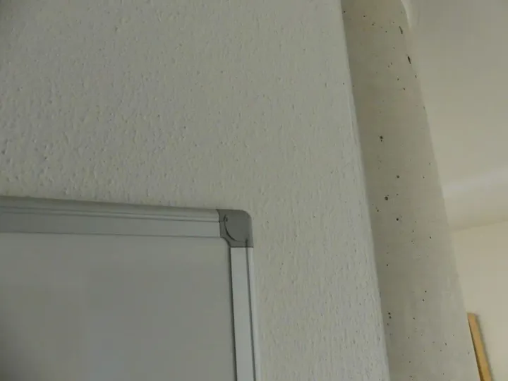 Thumbnail Bild'