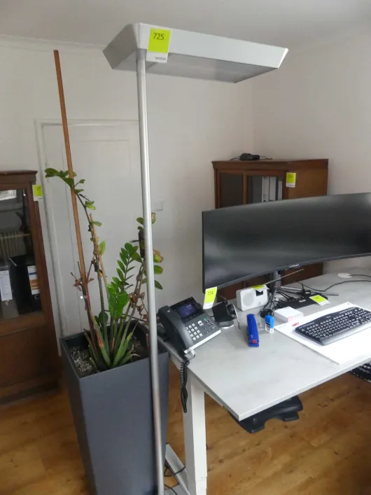 Bild von Los Nr. 725