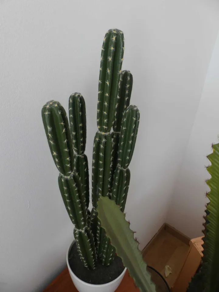 Thumbnail Bild'