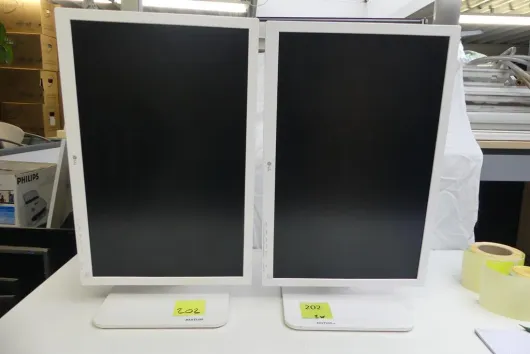 Bild von Los Nr. 202