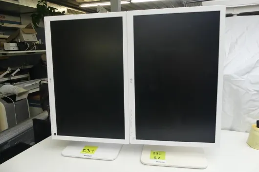 Bild von Los Nr. 231