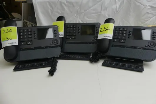 Bild von Los Nr. 234