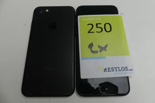 Bild von Los Nr. 250