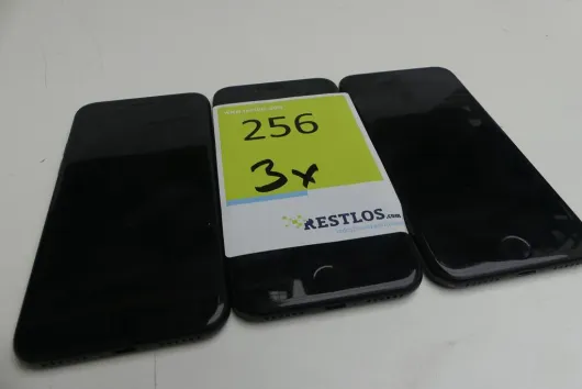 Bild von Los Nr. 256