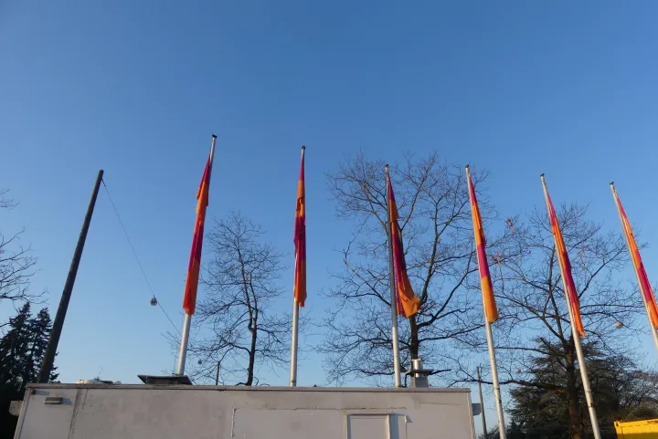 Thumbnail Bild'