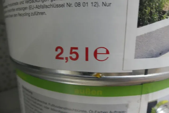 Bild