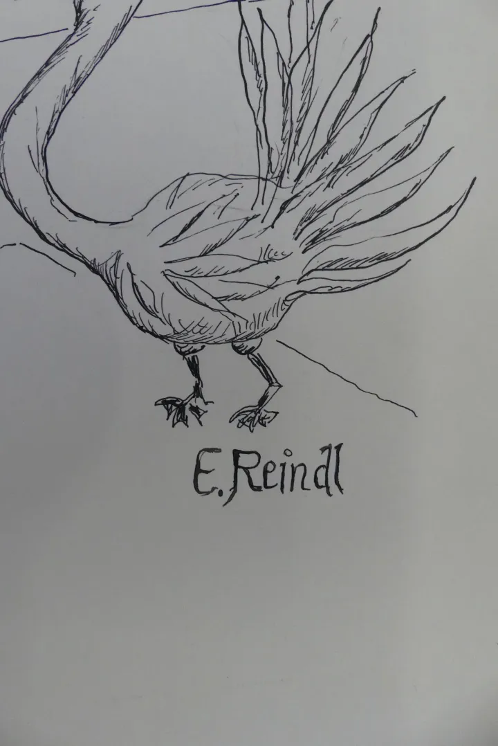 Thumbnail Bild'