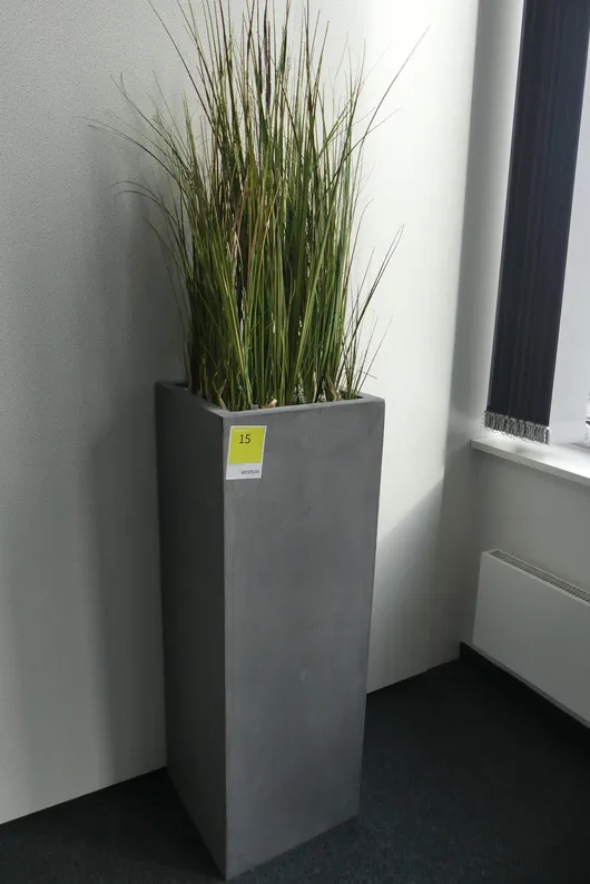 Bild von Los Nr. 15