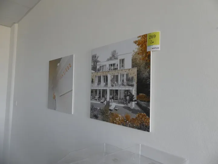 Bild