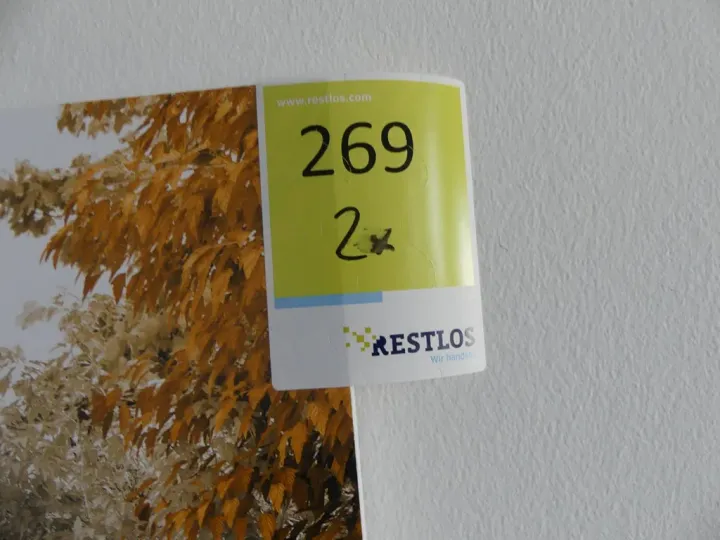 Bild