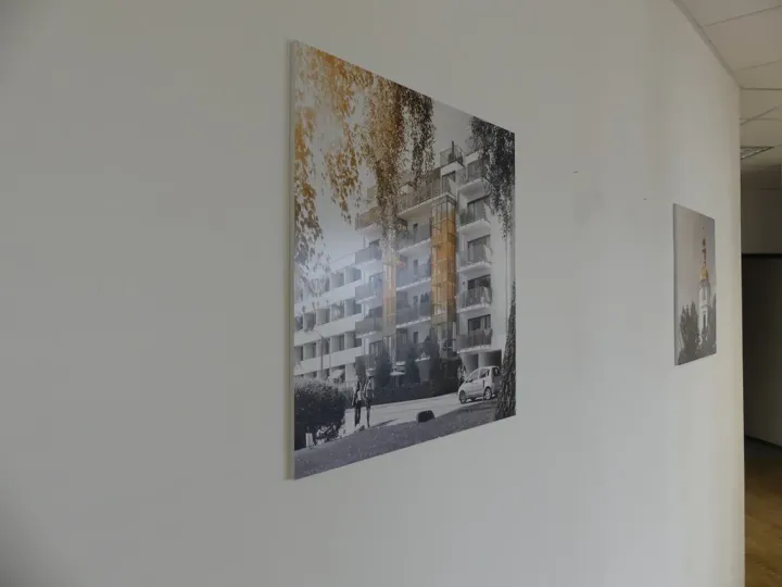 Bild