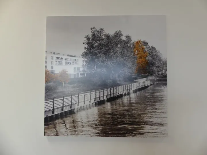 Bild