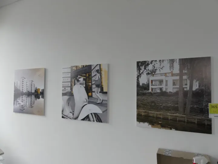 Bild